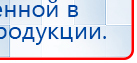 СКЭНАР-1-НТ (исполнение 01 VO) Скэнар Мастер купить в Нальчике, Аппараты Скэнар купить в Нальчике, Официальный сайт Дэнас kupit-denas.ru